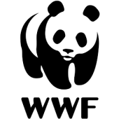 Logo 7